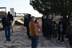 DSC 3448 Medium
