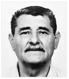 STIPAN TROGRLIĆ (1942. - 2025.)