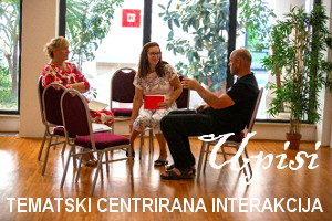 Tematski centrirana interakcija